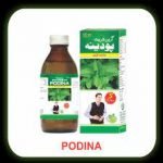 SHARBAT E PODINA 120ML