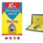 King Mouse Rat Killer Glue Trap Tray