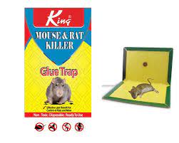 King Mouse Rat Killer Glue Trap Tray