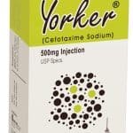 Yorker 500mg Injection