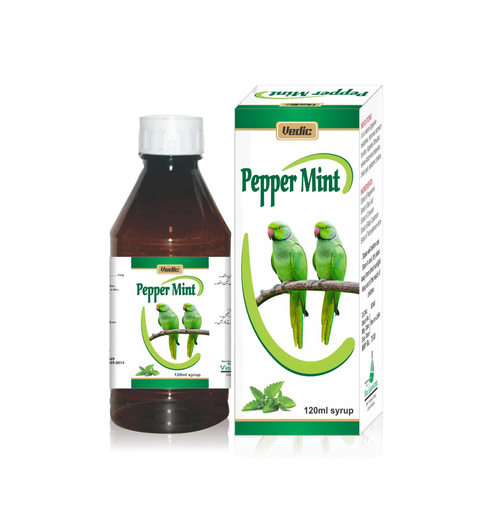 1021_231_1.png PEPPERMINT SYRUP 120ML - Image 1