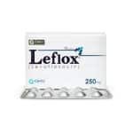 LEFLOX TABLET 250MG