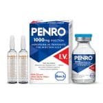 Penro 1G Injection Iv