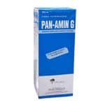 Panamin-G Solution 500Ml
