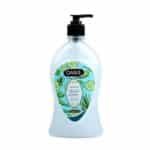 Oasis Aloe Vera Hand Wash 500Ml