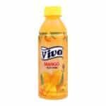 Vivo Mango Drink 250Ml