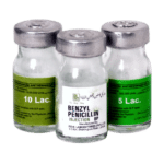 Penicillin 10 Lac Injection