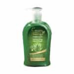 CARESSE GREEN HAND WASH 250 ML