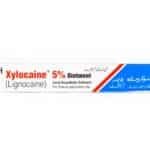 Xylocaine 5% Ointment 20g