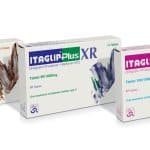 ITAGLIP PLUS XR 100/1000 TABLET