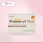 Pamaryl plus 1mg/500mg tablet
