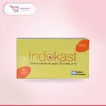 Indokast 10mg Tablet
