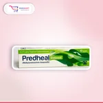 Predheal Ointment 10Gm