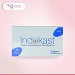 Indokast 5mg Tablet