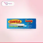GMSA EILFI