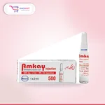 Amkay 500Mg Inj