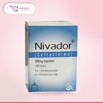 NIVADOR 250 MG INJECTION