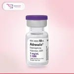 Adrenaline 1ml Injection