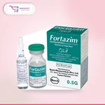 Fortazim Vial 500Mg